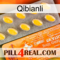 Qibianli new05